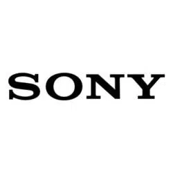 Logo de ordenadores Sony